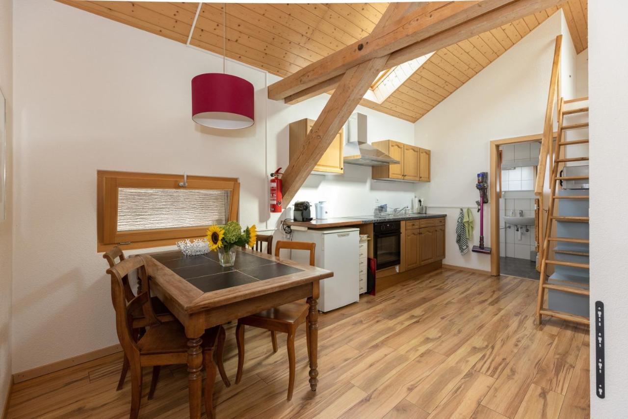 Guesthouse La Moliere, 3 Bedrooms, Private House, Horse Farm, Full Nature Murist 외부 사진