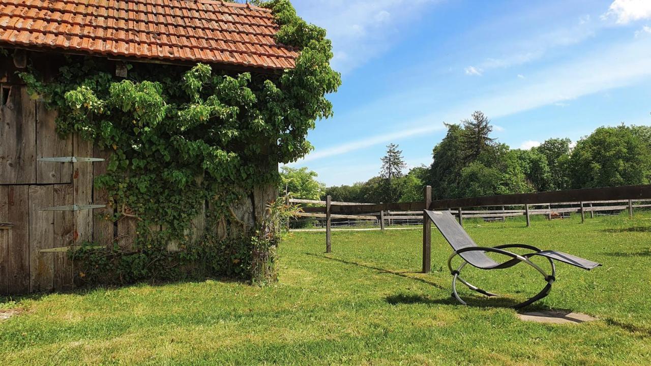 Guesthouse La Moliere, 3 Bedrooms, Private House, Horse Farm, Full Nature Murist 외부 사진